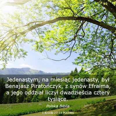Picture 03 - 1 Kronik 27:14 POLUBG - Jedenastym, na miesiąc jedenasty, był Benajasz - Bible Verse Picture