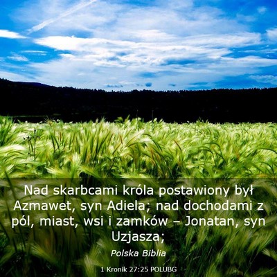 Picture 03 - 1 Kronik 27:25 POLUBG - Nad skarbcami króla postawiony był Azmawet, syn - Bible Verse Picture