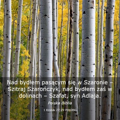 Picture 03 - 1 Kronik 27:29 POLUBG - Nad bydłem pasącym się w Szaronie – Szitraj - Bible Verse Picture