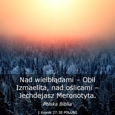 Picture 03 - 1 Kronik 27:30 POLUBG - Nad wielbłądami – Obil Izmaelita, nad - Bible Verse Picture