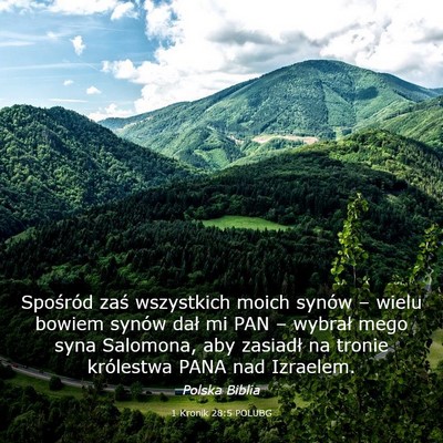 Picture 03 - 1 Kronik 28:5 POLUBG - Spośród zaś wszystkich moich synów – wielu - Bible Verse Picture