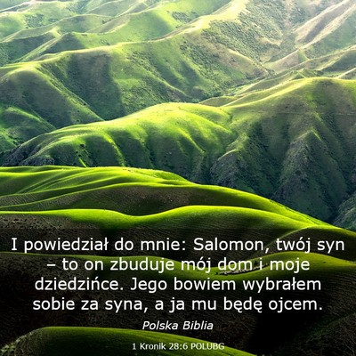 Picture 03 - 1 Kronik 28:6 POLUBG - I powiedział do mnie: Salomon, twój syn – to - Bible Verse Picture