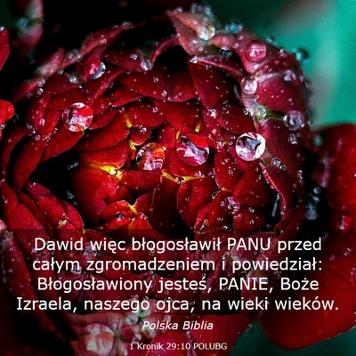 Picture 03 - 1 Kronik 29:10 POLUBG - Dawid więc błogosławił PANU przed całym - Bible Verse Picture