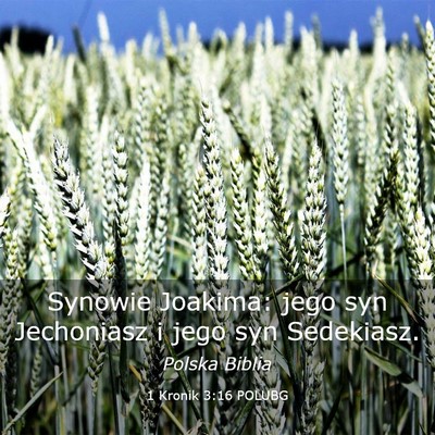 Picture 03 - 1 Kronik 3:16 POLUBG - Synowie Joakima: jego syn Jechoniasz i jego syn - Bible Verse Picture
