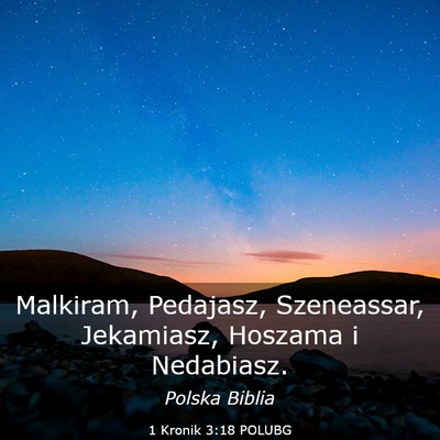 Picture 03 - 1 Kronik 3:18 POLUBG - Malkiram, Pedajasz, Szeneassar, Jekamiasz, - Bible Verse Picture