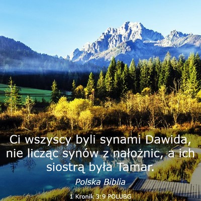 Picture 03 - 1 Kronik 3:9 POLUBG - Ci wszyscy byli synami Dawida, nie licząc synów - Bible Verse Picture