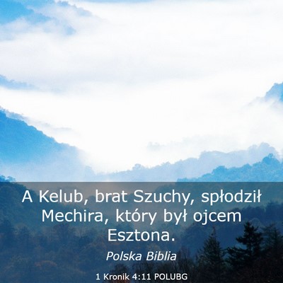 Picture 03 - 1 Kronik 4:11 POLUBG - A Kelub, brat Szuchy, spłodził Mechira, który - Bible Verse Picture