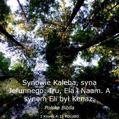 Picture 03 - 1 Kronik 4:15 POLUBG - Synowie Kaleba, syna Jefunnego: Iru, Ela i Naam. - Bible Verse Picture