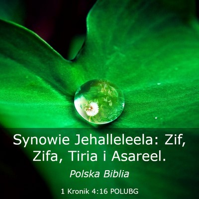 Picture 03 - 1 Kronik 4:16 POLUBG - Synowie Jehalleleela: Zif, Zifa, Tiria i - Bible Verse Picture