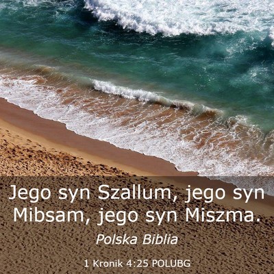 Picture 03 - 1 Kronik 4:25 POLUBG - Jego syn Szallum, jego syn Mibsam, jego syn - Bible Verse Picture