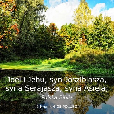 Picture 03 - 1 Kronik 4:35 POLUBG - Joel i Jehu, syn Joszibiasza, syna Serajasza, - Bible Verse Picture