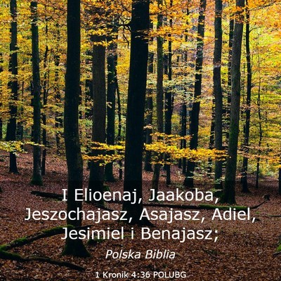 Picture 03 - 1 Kronik 4:36 POLUBG - I Elioenaj, Jaakoba, Jeszochajasz, Asajasz, - Bible Verse Picture