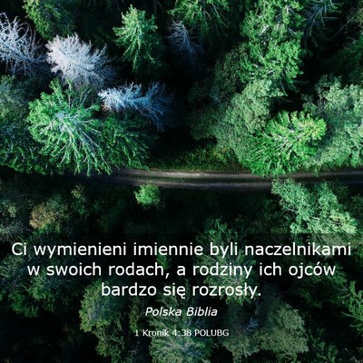 Picture 03 - 1 Kronik 4:38 POLUBG - Ci wymienieni imiennie byli naczelnikami w swoich - Bible Verse Picture