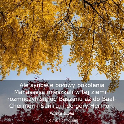 Picture 03 - 1 Kronik 5:23 POLUBG - Ale synowie połowy pokolenia Manassesa mieszkali - Bible Verse Picture