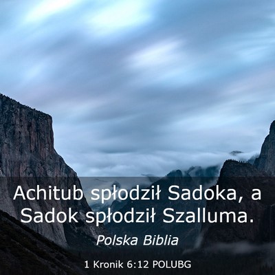 Picture 03 - 1 Kronik 6:12 POLUBG - Achitub spłodził Sadoka, a Sadok spłodził - Bible Verse Picture