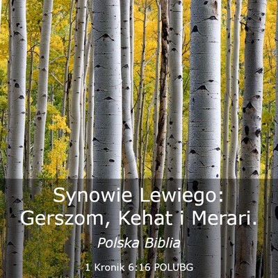 Picture 03 - 1 Kronik 6:16 POLUBG - Synowie Lewiego: Gerszom, Kehat i - Bible Verse Picture