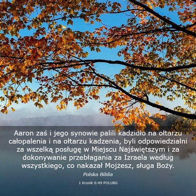 Picture 03 - 1 Kronik 6:49 POLUBG - Aaron zaś i jego synowie palili kadzidło na - Bible Verse Picture