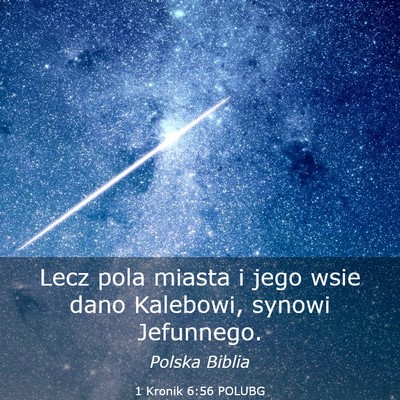 Picture 03 - 1 Kronik 6:56 POLUBG - Lecz pola miasta i jego wsie dano Kalebowi, - Bible Verse Picture