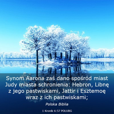 Picture 03 - 1 Kronik 6:57 POLUBG - Synom Aarona zaś dano spośród miast Judy - Bible Verse Picture