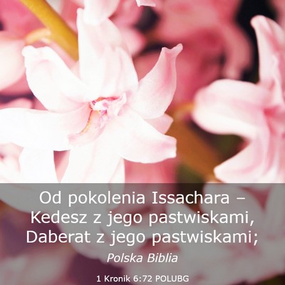 Picture 03 - 1 Kronik 6:72 POLUBG - Od pokolenia Issachara – Kedesz z jego - Bible Verse Picture