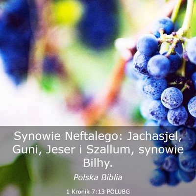 Picture 03 - 1 Kronik 7:13 POLUBG - Synowie Neftalego: Jachasjel, Guni, Jeser i - Bible Verse Picture