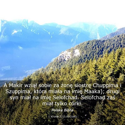Picture 03 - 1 Kronik 7:15 POLUBG - A Makir wziął sobie za żonę siostrę Chuppima - Bible Verse Picture