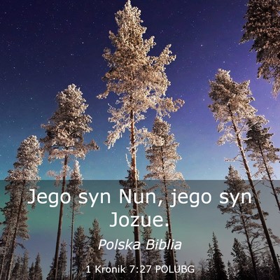 Picture 03 - 1 Kronik 7:27 POLUBG - Jego syn Nun, jego syn - Bible Verse Picture