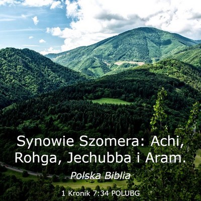 Picture 03 - 1 Kronik 7:34 POLUBG - Synowie Szomera: Achi, Rohga, Jechubba i - Bible Verse Picture