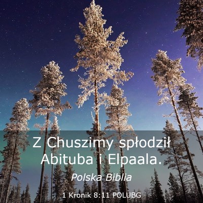 Picture 03 - 1 Kronik 8:11 POLUBG - Z Chuszimy spłodził Abituba i - Bible Verse Picture