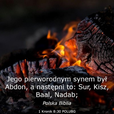 Picture 03 - 1 Kronik 8:30 POLUBG - Jego pierworodnym synem był Abdon, a następni - Bible Verse Picture
