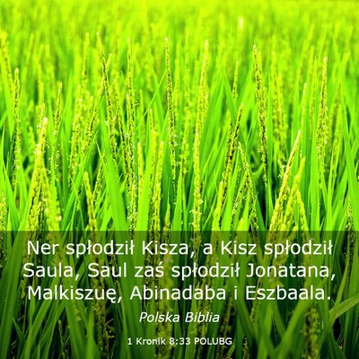 Picture 03 - 1 Kronik 8:33 POLUBG - Ner spłodził Kisza, a Kisz spłodził Saula, - Bible Verse Picture
