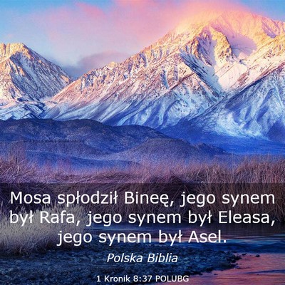 Picture 03 - 1 Kronik 8:37 POLUBG - Mosa spłodził Bineę, jego synem był Rafa, - Bible Verse Picture
