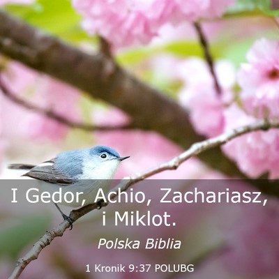 Picture 03 - 1 Kronik 9:37 POLUBG - I Gedor, Achio, Zachariasz, i - Bible Verse Picture