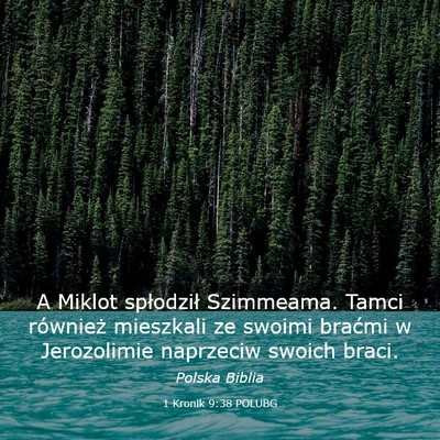 Picture 03 - 1 Kronik 9:38 POLUBG - A Miklot spłodził Szimmeama. Tamci również - Bible Verse Picture