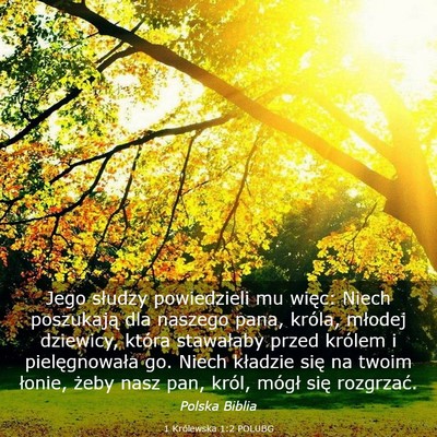 Picture 03 - 1 Królewska 1:2 POLUBG - Jego słudzy powiedzieli mu więc: Niech - Bible Verse Picture