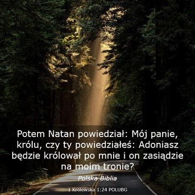 Picture 03 - 1 Królewska 1:24 POLUBG - Potem Natan powiedział: Mój panie, królu, czy - Bible Verse Picture