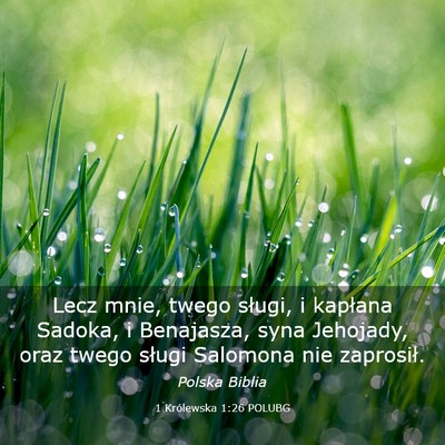 Picture 03 - 1 Królewska 1:26 POLUBG - Lecz mnie, twego sługi, i kapłana Sadoka, i - Bible Verse Picture