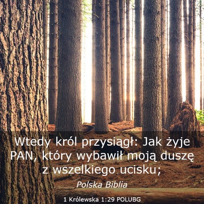 Picture 03 - 1 Królewska 1:29 POLUBG - Wtedy król przysiągł: Jak żyje PAN, który - Bible Verse Picture