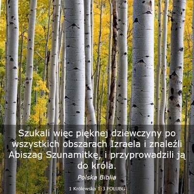 Picture 03 - 1 Królewska 1:3 POLUBG - Szukali więc pięknej dziewczyny po wszystkich - Bible Verse Picture