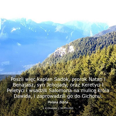 Picture 03 - 1 Królewska 1:38 POLUBG - Poszli więc kapłan Sadok, prorok Natan i - Bible Verse Picture