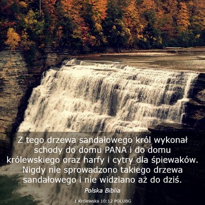 Picture 03 - 1 Królewska 10:12 POLUBG - Z tego drzewa sandałowego król wykonał schody - Bible Verse Picture