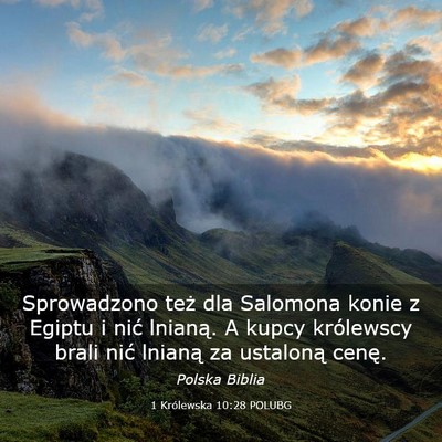 Picture 03 - 1 Królewska 10:28 POLUBG - Sprowadzono też dla Salomona konie z Egiptu i - Bible Verse Picture