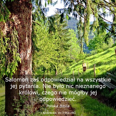 Picture 03 - 1 Królewska 10:3 POLUBG - Salomon zaś odpowiedział na wszystkie jej - Bible Verse Picture