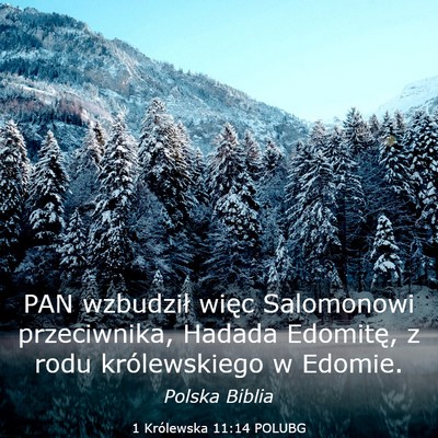Picture 03 - 1 Królewska 11:14 POLUBG - PAN wzbudził więc Salomonowi przeciwnika, - Bible Verse Picture