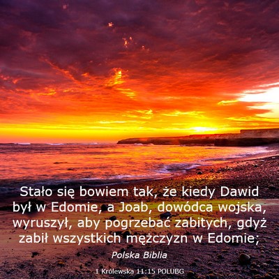 Picture 03 - 1 Królewska 11:15 POLUBG - Stało się bowiem tak, że kiedy Dawid był w - Bible Verse Picture