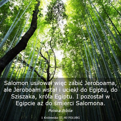 Picture 03 - 1 Królewska 11:40 POLUBG - Salomon usiłował więc zabić Jeroboama, ale - Bible Verse Picture