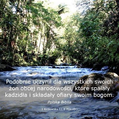 Picture 03 - 1 Królewska 11:8 POLUBG - Podobnie uczynił dla wszystkich swoich żon - Bible Verse Picture
