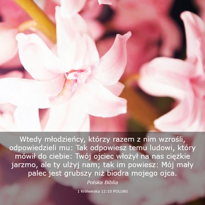 Picture 03 - 1 Królewska 12:10 POLUBG - Wtedy młodzieńcy, którzy razem z nim wzrośli, - Bible Verse Picture