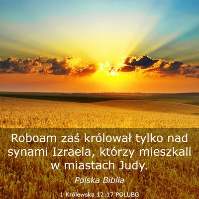 Picture 03 - 1 Królewska 12:17 POLUBG - Roboam zaś królował tylko nad synami Izraela, - Bible Verse Picture