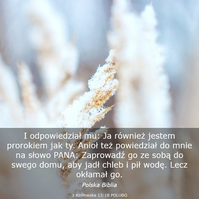 Picture 03 - 1 Królewska 13:18 POLUBG - I odpowiedział mu: Ja również jestem prorokiem - Bible Verse Picture
